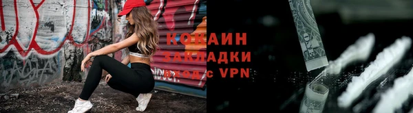 кокс Арсеньев