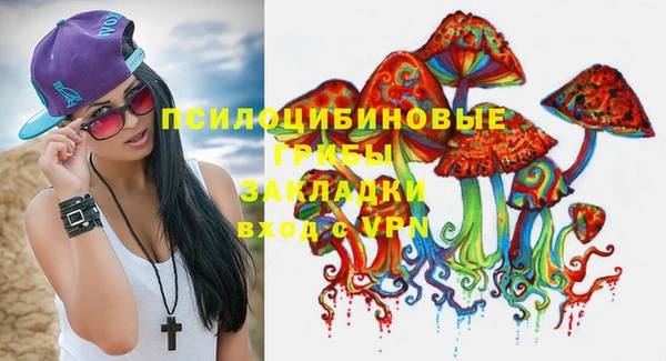 кокс Арсеньев