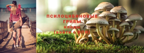 кокс Арсеньев