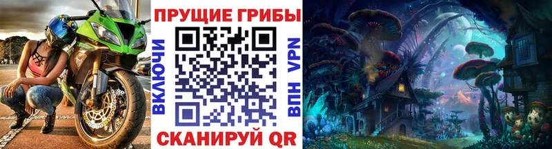 Галлюциногенные грибы Psilocybe  наркота  Малоархангельск 